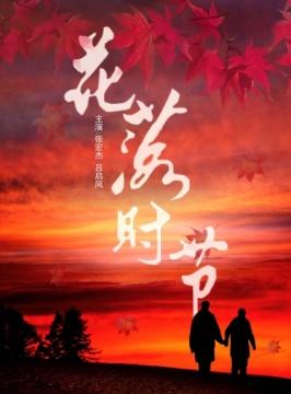 花落时节海报