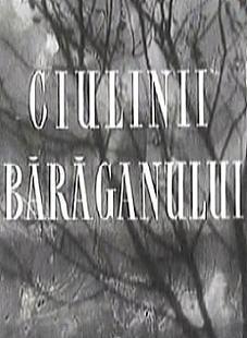 Ciulinii Baraganului