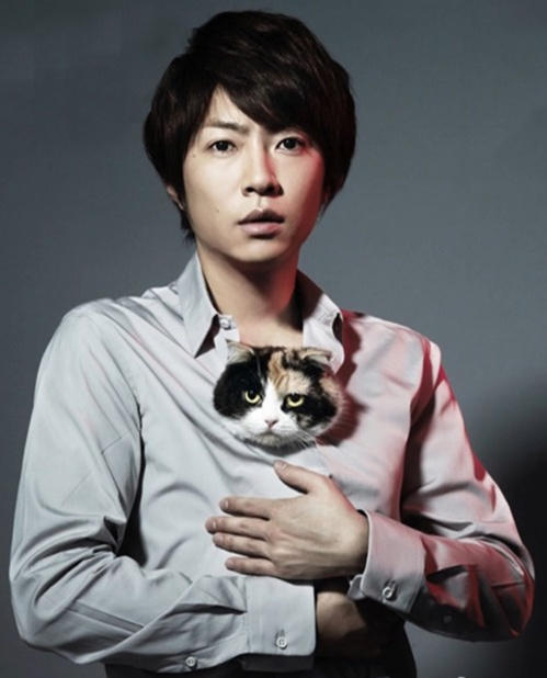三毛猫福尔摩斯的推理海报
