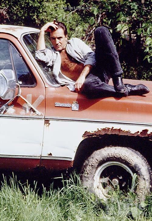 图片标题:阿曼德·阿山特写真 #11