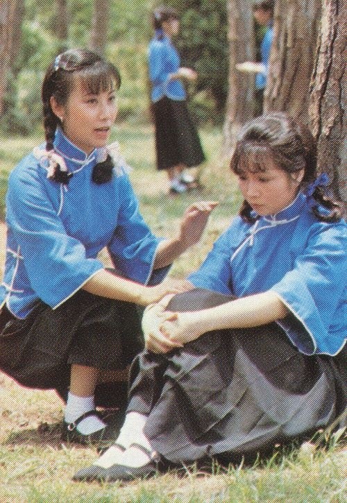 1980版京华春梦图片
