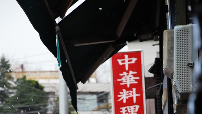 我的野蛮女友2剧照8