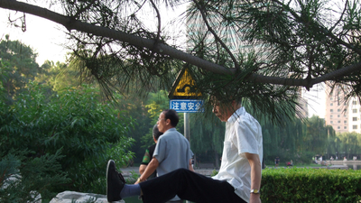 在中国看夕阳剧照1