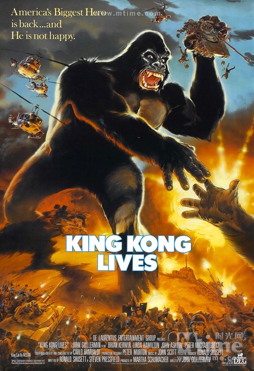 金刚活着king kong lives(1986)海报 #01