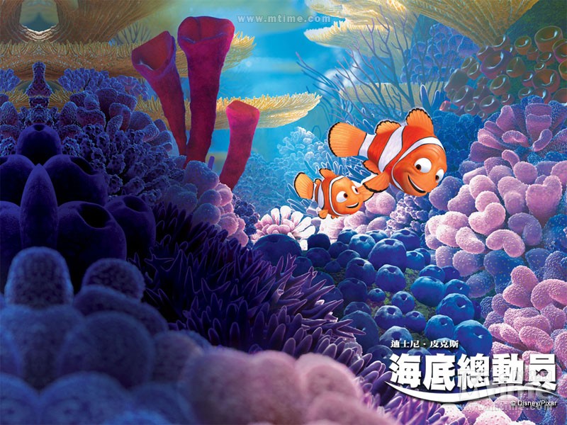 海底总动员 全部图片 - mtime时光网