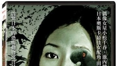 哀凭歌3：血鸽剧照3