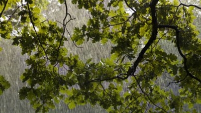 雨剧照4