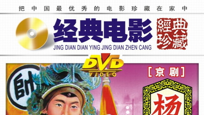 杨门女将剧照1