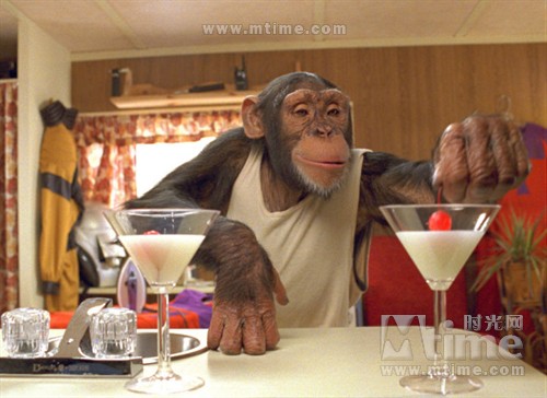 金刚归来_金刚归来2