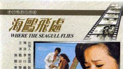 海鸥飞处剧照5