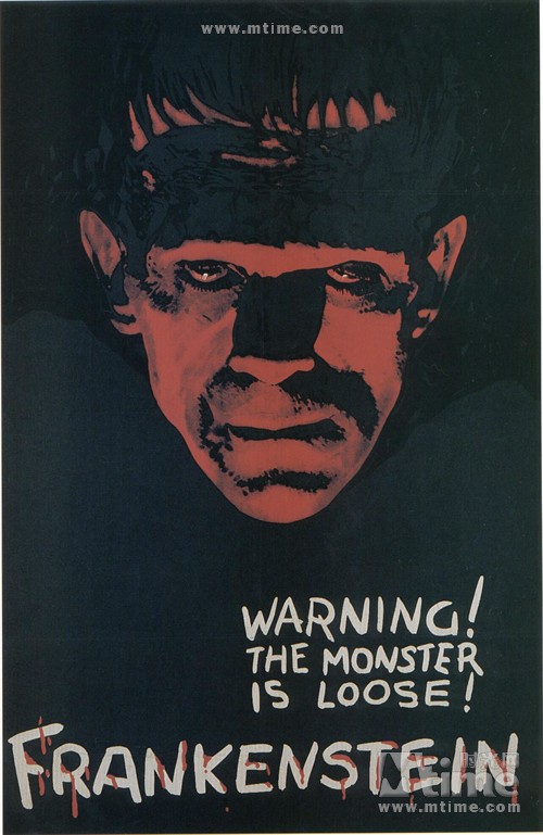科学怪人frankenstein(1931)海报 #13