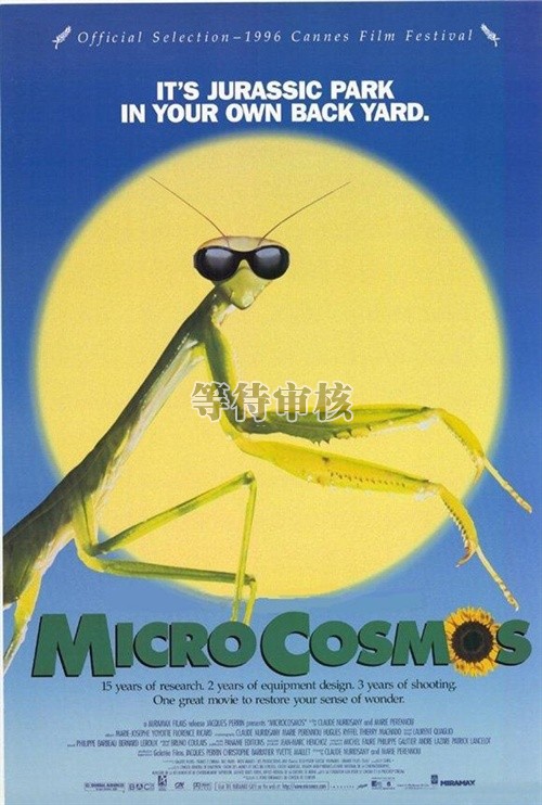 微观世界microcosmos: le peuple de lherbe(1996)海报 #03
